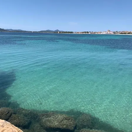 Illy 2 Alghero